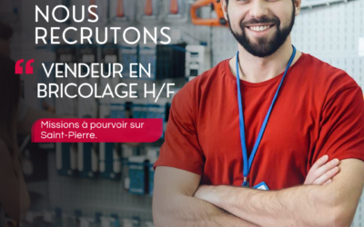 Vendeurs en Bricolage H/F