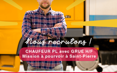 Chauffeur PL avec Grue H/F