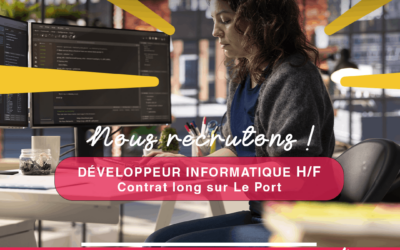 Développeur Informatique H/F