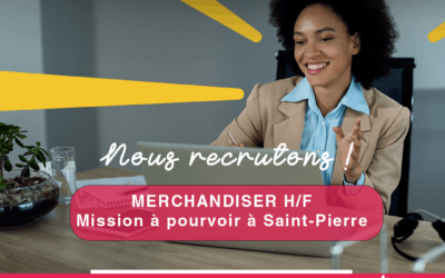 Merchandiser H/F