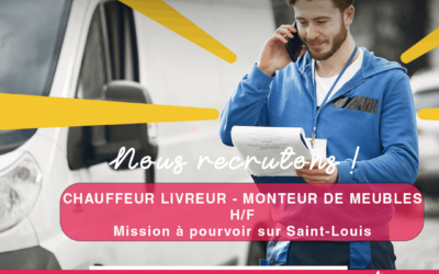 Chauffeur Livreur/Monteur de Meubles H/F à Saint-Louis