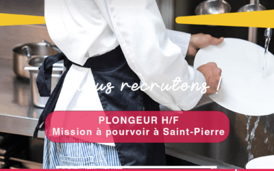 Plongeur H/F