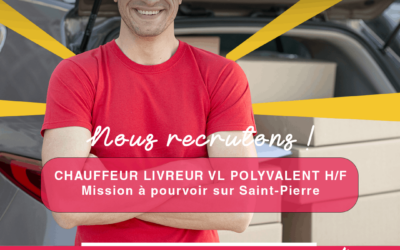 Chauffeur Livreur VL Polyvalent H/F