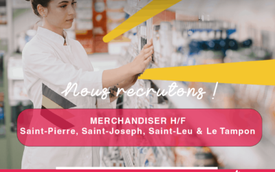 Merchandiser H/F