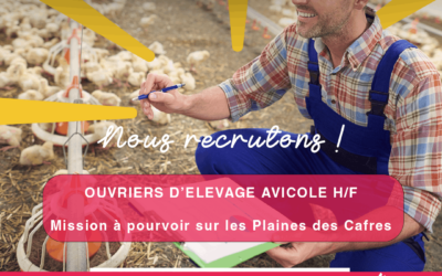 Ouvriers d’Elevage Avicole H/F
